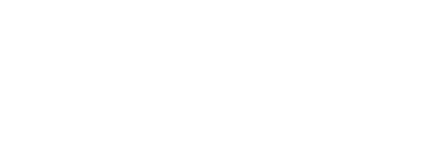Salü